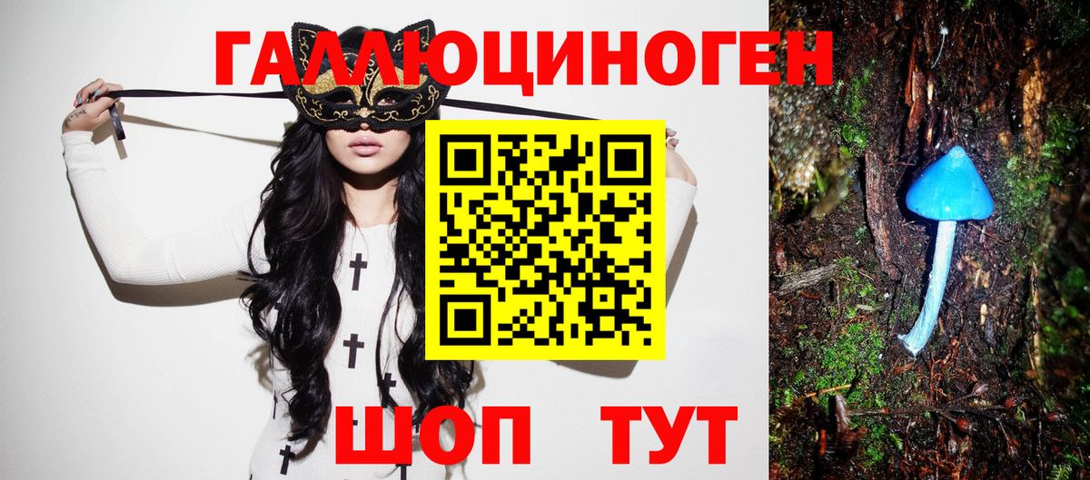 Бердск  Псилоцибиновые грибы GOLDEN TEACHER  Вход с VPN 