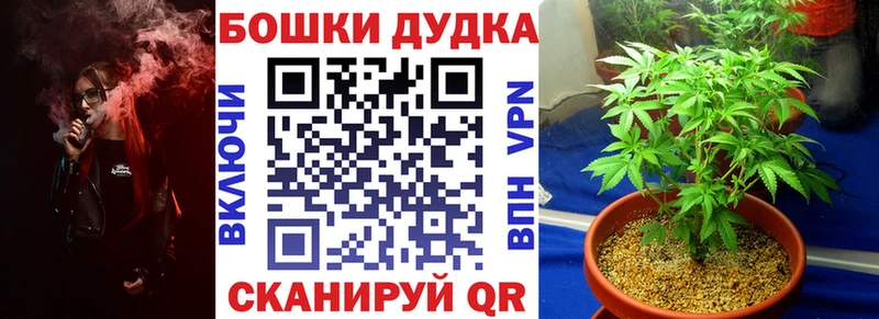Канабис гибрид  Бердск 